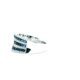 Sapphire & Diamond Valley Band
